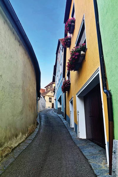 Flower Boxes Up The Road by Susan Vizvary framed canvas print