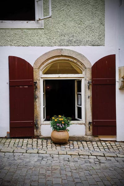 Susan Vizvary: Potted Plant On Cobblestone by Susan Vizvary