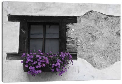 Purple Flower Box In Black And White Canvas Art Print - Window Art