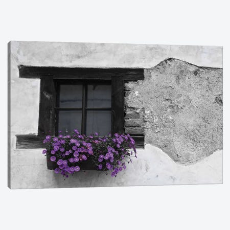 Purple Flower Box In Black And White Canvas Print #SUV288} by Susan Vizvary Canvas Art Print