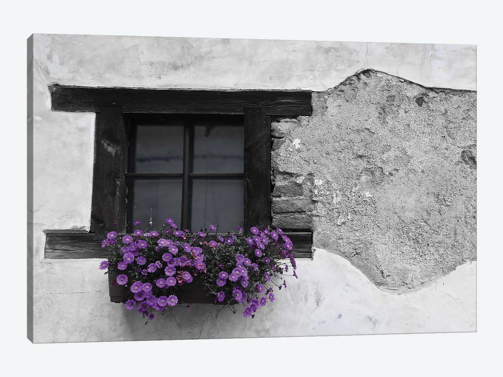 Purple Flower Box In Black And White by Susan Vizvary 1-piece Canvas Art Print