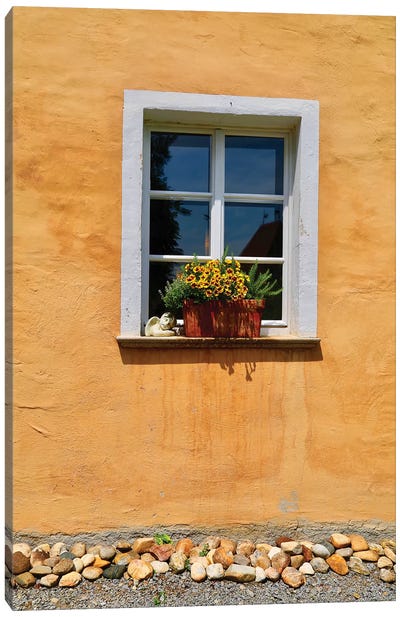Single Window With Flower Box Canvas Art Print - Susan Vizvary