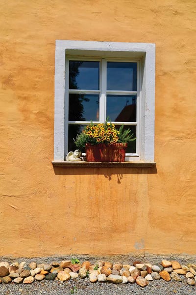 Susan Vizvary: Single Window With Flower Box by Susan Vizvary