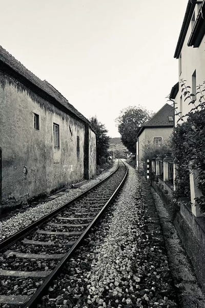 Susan Vizvary: Train Tracks In Black And White by Susan Vizvary