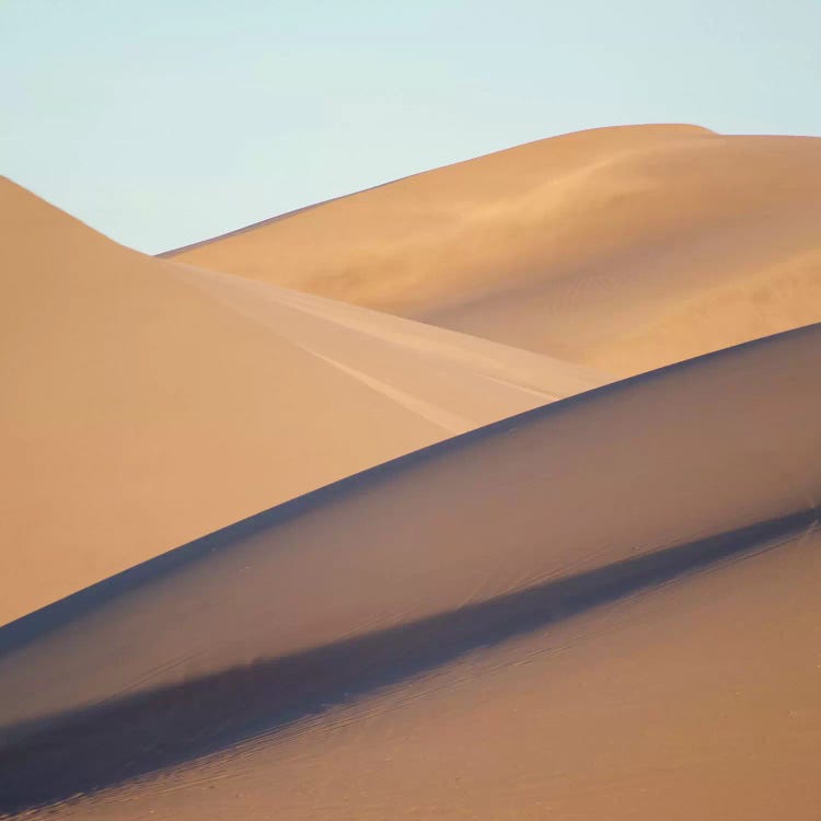 Death Valley Dunes by Susan Vizvary wall art