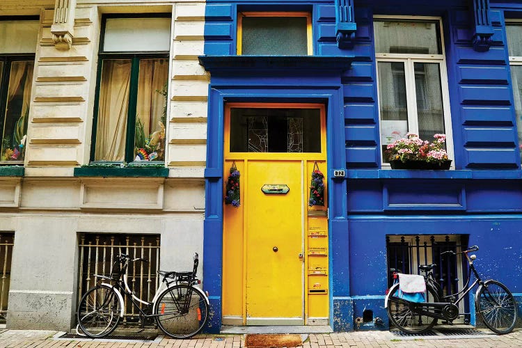 Yellow Door With Bikes by Susan Vizvary wall art