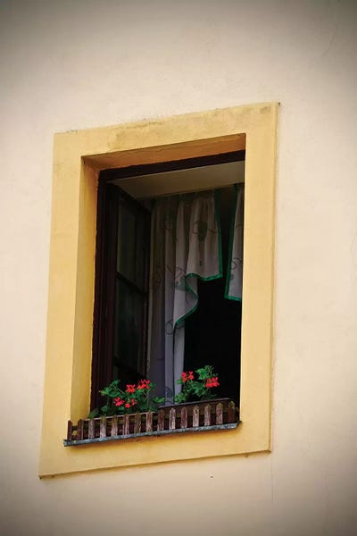 Susan Vizvary: Yellow Window Flower Box by Susan Vizvary