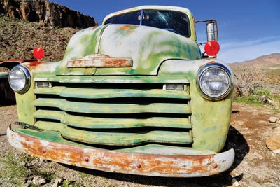 Green Grill by Susan Vizvary framed canvas print