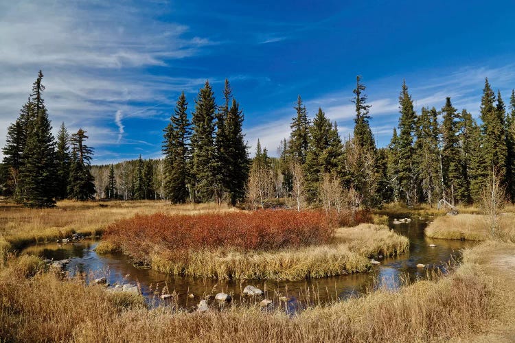 A River Runs Through by Susan Vizvary wall art