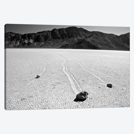 Death Valley Race Track Canvas Print #SUV30} by Susan Vizvary Canvas Print