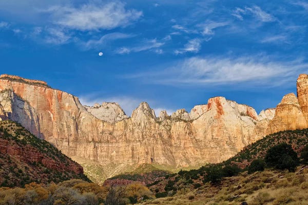 Susan Vizvary: Moonrise Over Zion by Susan Vizvary