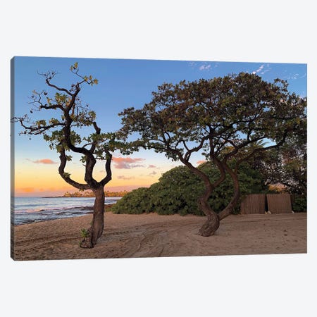 Hawaiian Sunset Through The Trees Canvas Print #SUV322} by Susan Vizvary Canvas Wall Art