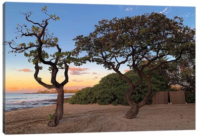 Hawaiian Sunset Through The Trees Canvas Art Print - Susan Vizvary