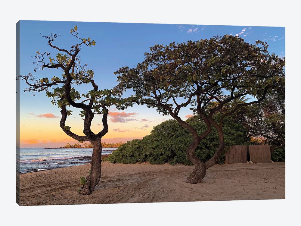 Hawaiian Sunset Through The Trees by Susan Vizvary 1-piece Canvas Artwork