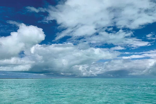 Susan Vizvary: Turks Ocean Dream by Susan Vizvary