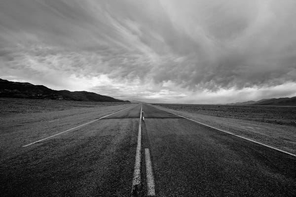 Susan Vizvary: A Long Dark Road by Susan Vizvary