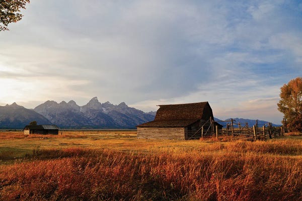 Susan Vizvary: Autumn Barn I by Susan Vizvary
