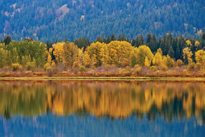 Autumns Reflection by Susan Vizvary framed canvas print