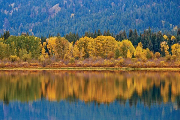 Susan Vizvary: Autumns Reflection by Susan Vizvary