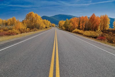 Autumn's Road by Susan Vizvary framed canvas print