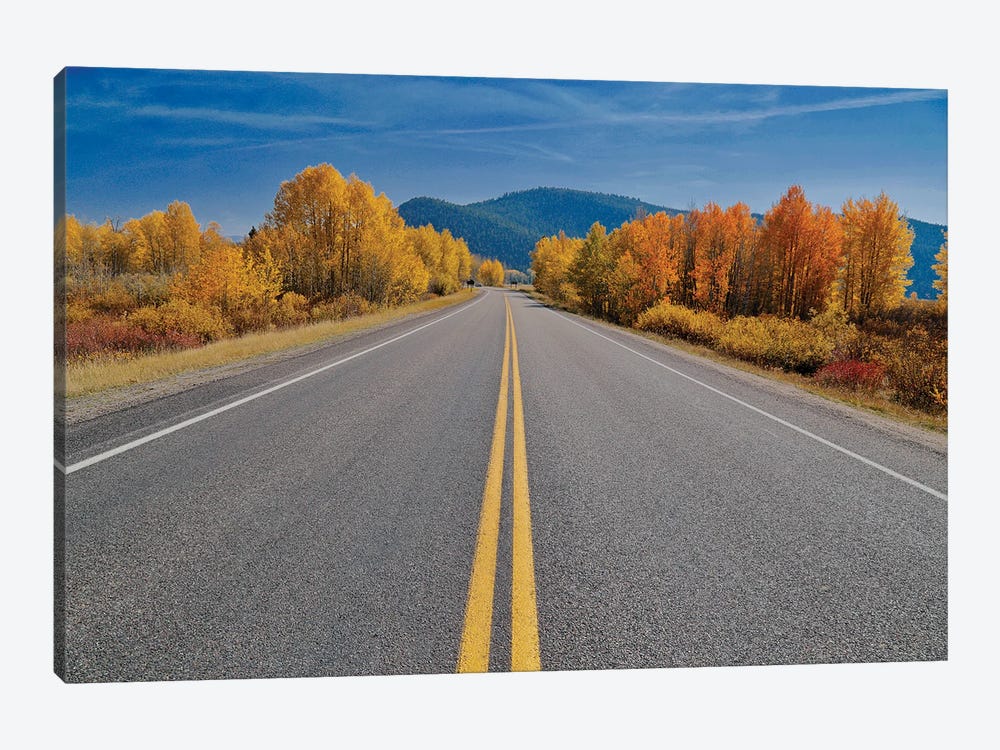 Autumn's Road by Susan Vizvary 1-piece Canvas Artwork