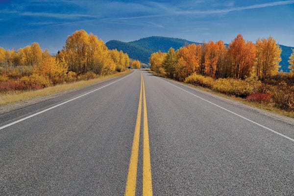 Susan Vizvary: Autumn's Road by Susan Vizvary