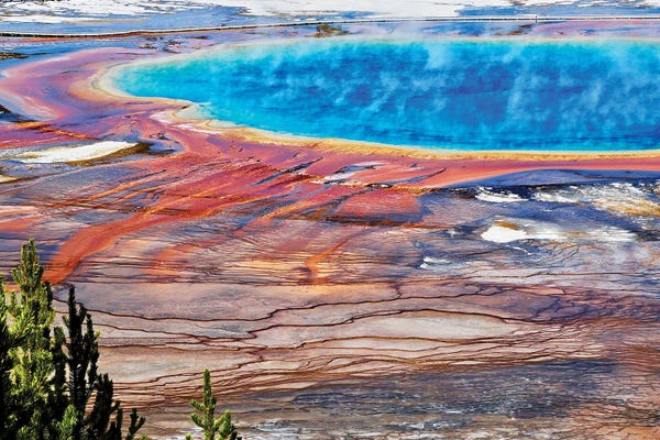 Susan Vizvary: Grand Prism by Susan Vizvary