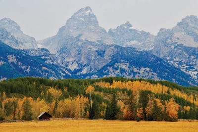 Grand Tetons Log Cabin by Susan Vizvary art print