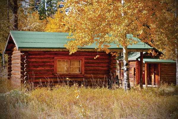 Susan Vizvary: Log Cabin In The Woods by Susan Vizvary