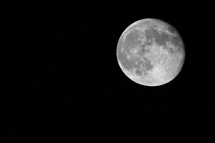 Full Moon by Susan Vizvary wall art