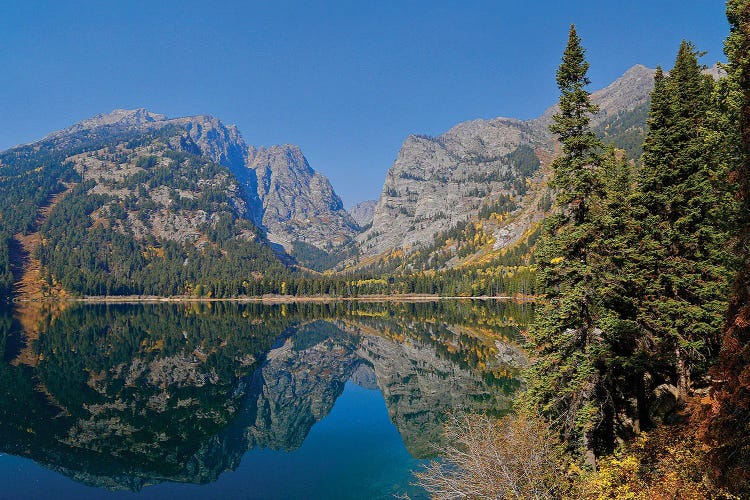 Phelps Lake Reflection