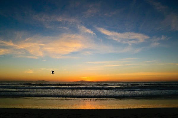 Susan Vizvary: Winter Sunset by Susan Vizvary