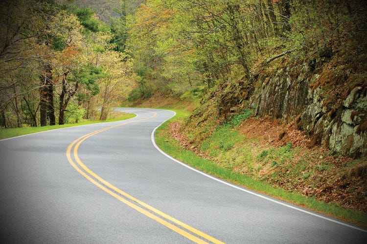 Long And Winding Road by Susan Vizvary wall art