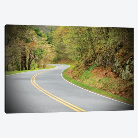 Long And Winding Road Canvas Print #SUV389} by Susan Vizvary Canvas Art