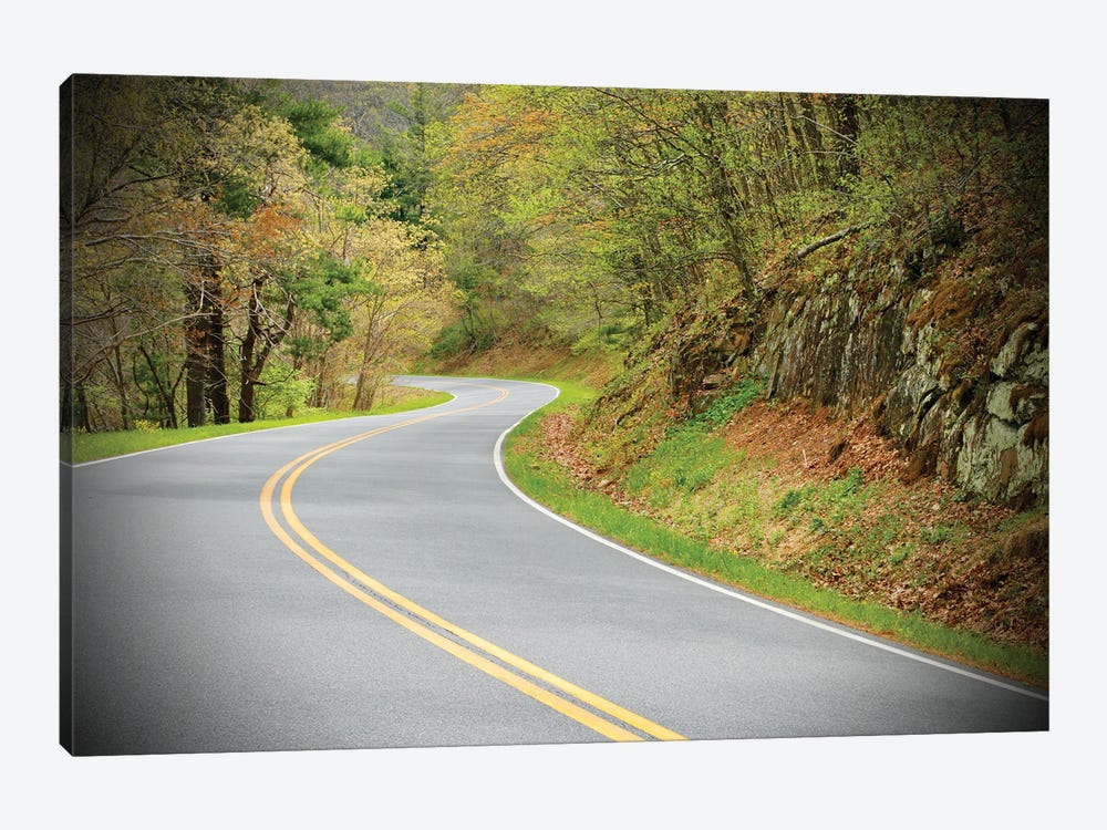 Long And Winding Road by Susan Vizvary 1-piece Art Print