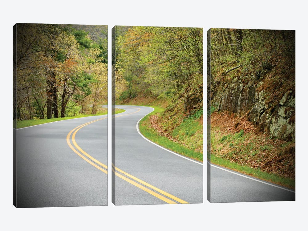 Long And Winding Road by Susan Vizvary 3-piece Canvas Print