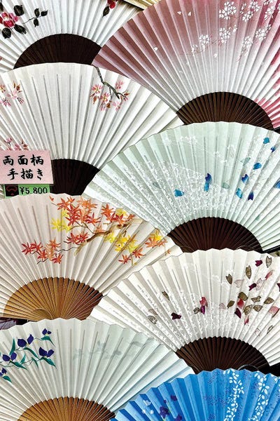 Susan Vizvary: Layers Of Fans In Multi-Color by Susan Vizvary