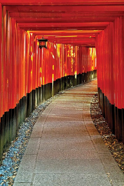 Susan Vizvary: Pathway Of Torii Gates by Susan Vizvary