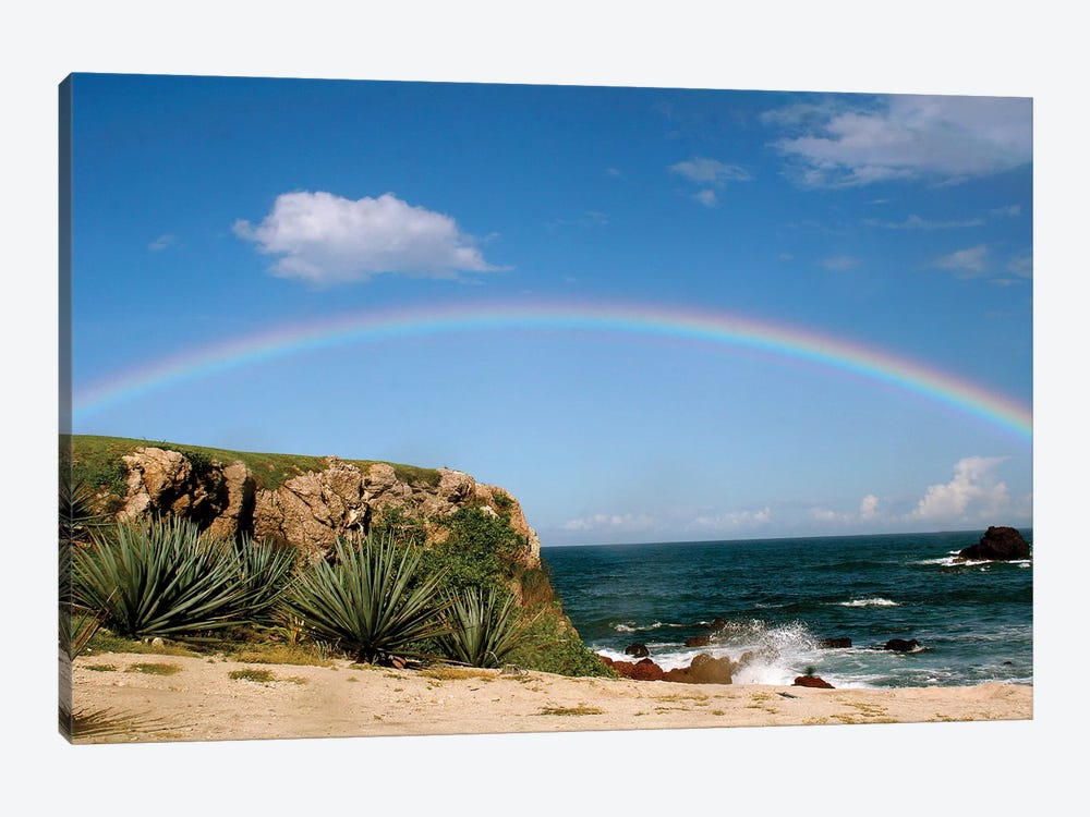 Hawiian Rainbow by Susan Vizvary 1-piece Canvas Artwork