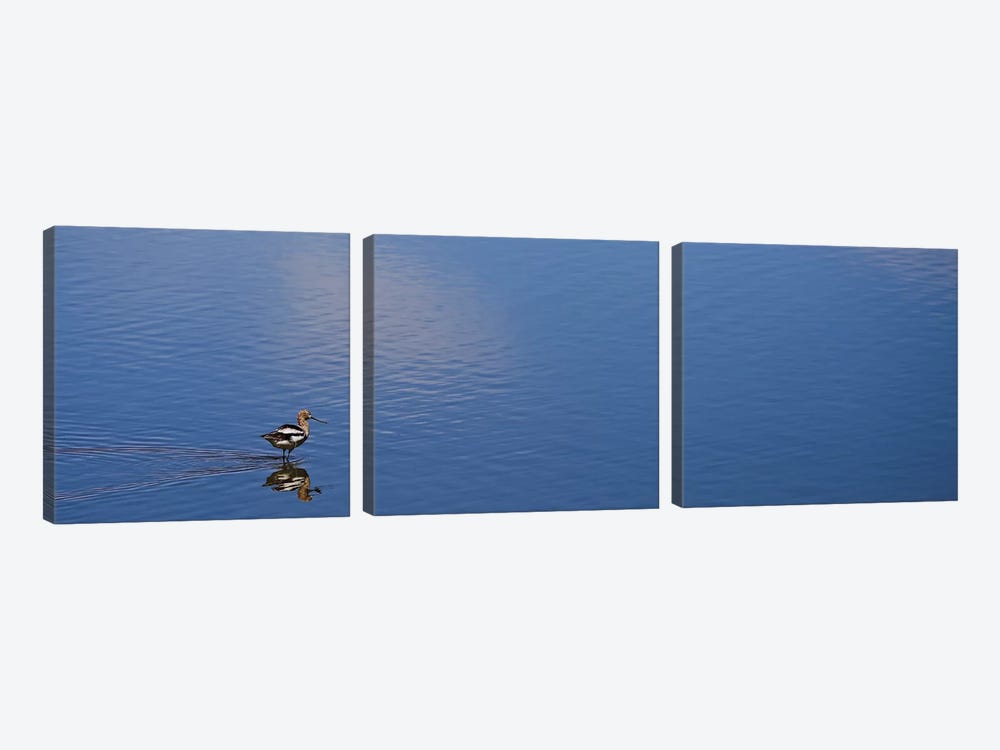 Lone Bird, Owens Lake by Susan Vizvary 3-piece Canvas Wall Art