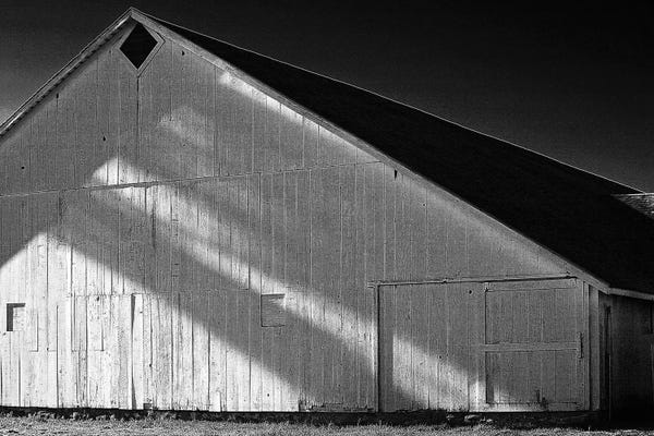 Susan Vizvary: Marin Old Barn by Susan Vizvary