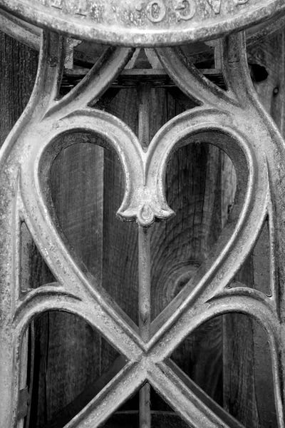 Metal Heart by Susan Vizvary framed canvas print