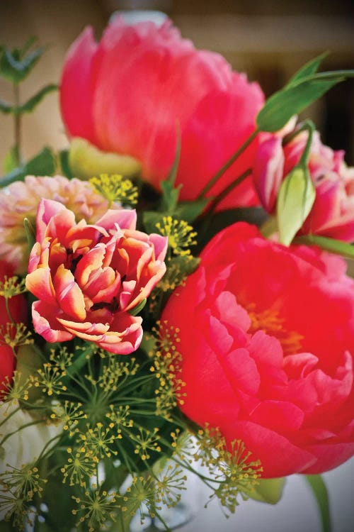 Montecito Peonies by Susan Vizvary wall art