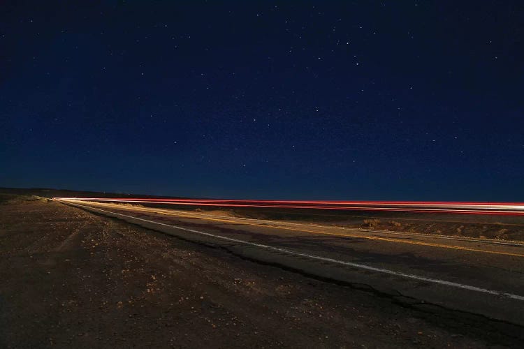 Nightrider by Susan Vizvary wall art