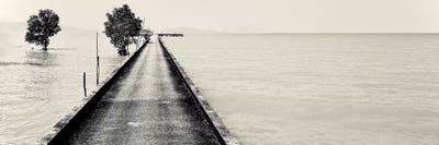 Pier Phuket in Black&White by Susan Vizvary framed canvas print