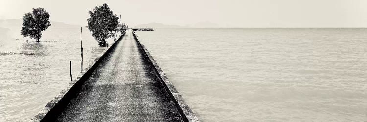 Pier Phuket in Black&White by Susan Vizvary wall art