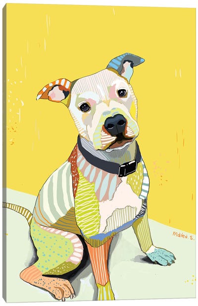 Pittie Canvas Art Print - Pet Obsessed
