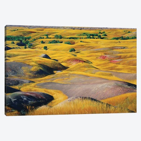 Badlands Prairie Canvas Print #SVD10} by Nick Savides Art Print