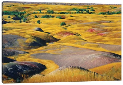 Badlands Prairie Canvas Art Print - Nick Savides