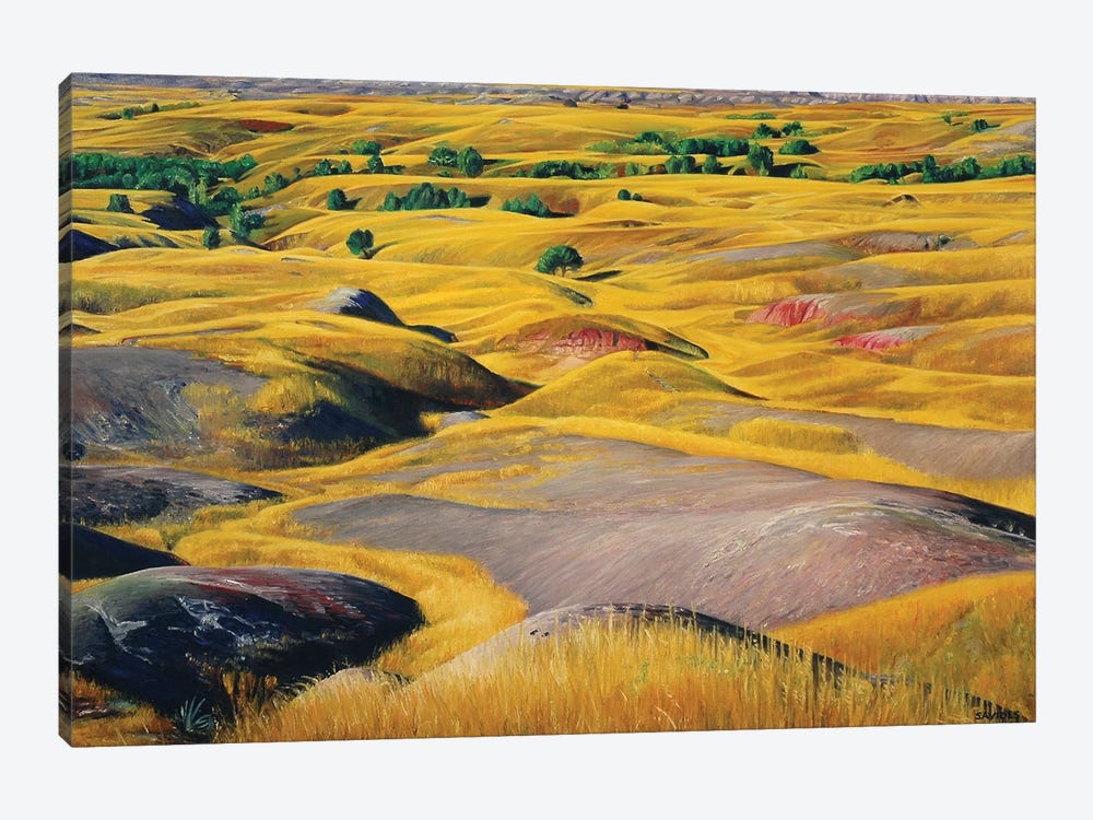 Badlands Prairie by Nick Savides 1-piece Canvas Wall Art